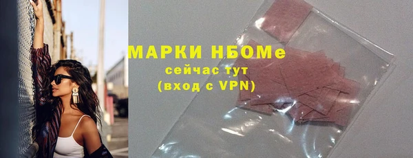 гашик Алексин