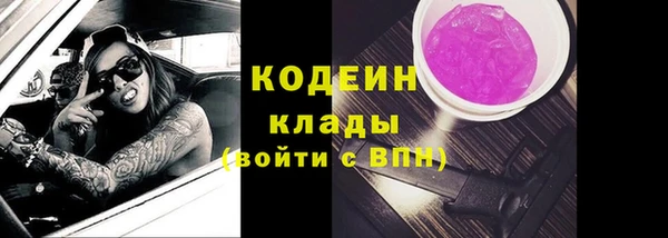 гашик Алексин