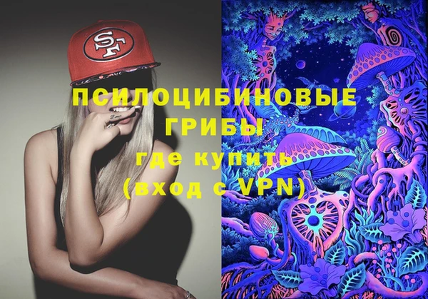 гашик Алексин