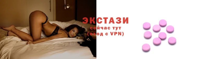 гашик Алексин