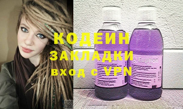 гашик Алексин
