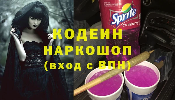 гашик Алексин