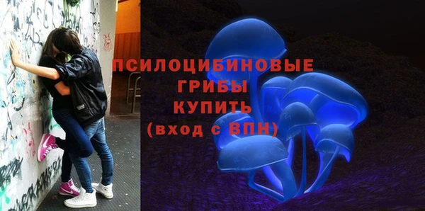метадон Алексеевка