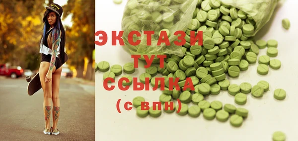 гашик Алексин