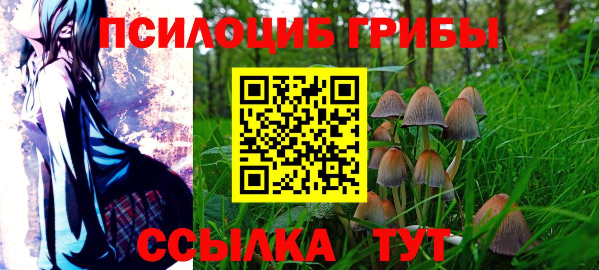 Нижний Тагил  Псилоцибиновые грибы прущие грибы  Вход с VPN  Галлюциногенные грибы Magic Shrooms 