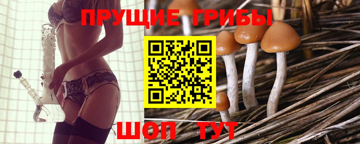 Галлюциногенные грибы мицелий  Вход с VPN  Нижний Тагил  Галлюциногенные грибы Magic Shrooms 